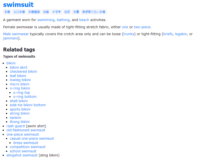 A description of the swimsuit and related tags are displayed